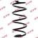 Coil Spring K-Flex RA1264 Kayaba