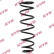 Coil Spring K-Flex RA1266 Kayaba