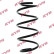 Coil Spring K-Flex RA1270 Kayaba