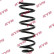 Coil Spring K-Flex RA1275 Kayaba