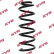 Coil Spring K-Flex RA1278 Kayaba