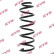 Coil Spring K-Flex RA1280 Kayaba