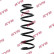 Coil Spring K-Flex RA1281 Kayaba