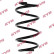 Coil Spring K-Flex RA1284 Kayaba