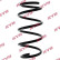 Coil Spring K-Flex RA1285 Kayaba