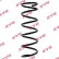 Coil Spring K-Flex RA1294 Kayaba