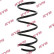 Coil Spring K-Flex RA1314 Kayaba