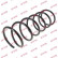 Coil Spring K-Flex RA1330 Kayaba