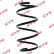 Coil Spring K-Flex RA1344 Kayaba