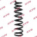Coil Spring K-Flex RA1362 Kayaba