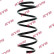 Coil Spring K-Flex RA1368 Kayaba