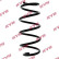Coil Spring K-Flex RA1384 Kayaba