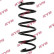 Coil Spring K-Flex RA1390 Kayaba