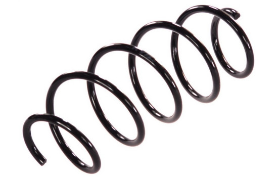 Coil Spring K-Flex RA1394 Kayaba
