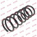 Coil Spring K-Flex RA1433 Kayaba