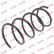 Coil Spring K-Flex RA1458 Kayaba