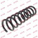 Coil Spring K-Flex RA1465 Kayaba