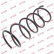 Coil Spring K-Flex RA1547 Kayaba