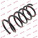 Coil Spring K-Flex RA1787 Kayaba