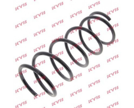 Coil Spring K-Flex RA1829 Kayaba
