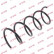 Coil Spring K-Flex RA1938 Kayaba