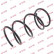 Coil Spring K-Flex RA2070 Kayaba