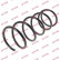 Coil Spring K-Flex RA2085 Kayaba