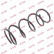 Coil Spring K-Flex RA2104 Kayaba