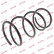 Coil Spring K-Flex RA2836 Kayaba