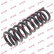 Coil Spring K-Flex RA2873 Kayaba