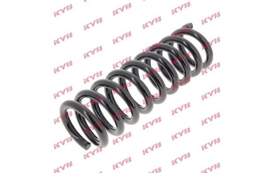 Coil Spring K-Flex RA2873 Kayaba