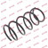 Coil Spring K-Flex RA2944 Kayaba