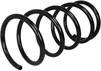 Coil Spring K-Flex RA3119 Kayaba