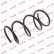 Coil Spring K-Flex RA3125 Kayaba