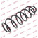Coil Spring K-Flex RA3302 Kayaba