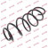 Coil Spring K-Flex RA3305 Kayaba