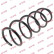 Coil Spring K-Flex RA3308 Kayaba