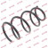 Coil Spring K-Flex RA3311 Kayaba