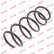 Coil Spring K-Flex RA3312 Kayaba