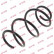 Coil Spring K-Flex RA3334 Kayaba