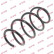Coil Spring K-Flex RA3336 Kayaba