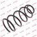 Coil Spring K-Flex RA3344 Kayaba