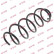 Coil Spring K-Flex RA3357 Kayaba