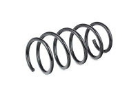 Coil Spring K-Flex RA3361 Kayaba