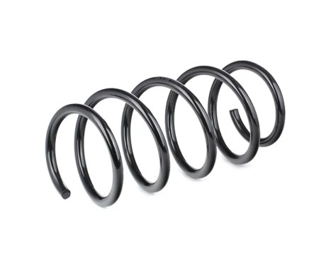 Coil Spring K-Flex RA3361 Kayaba