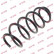 Coil Spring K-Flex RA3363 Kayaba