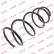 Coil Spring K-Flex RA3370 Kayaba