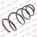 Coil Spring K-Flex RA3371 Kayaba