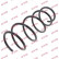 Coil Spring K-Flex RA3372 Kayaba