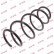 Coil Spring K-Flex RA3374 Kayaba